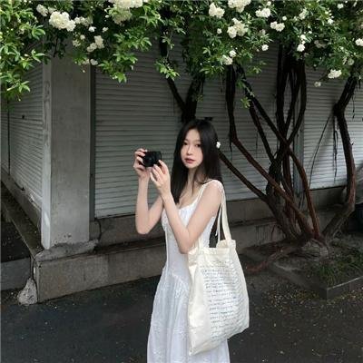 东陵大盗（二）