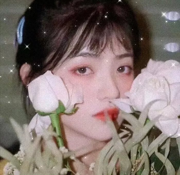 美洲艳后